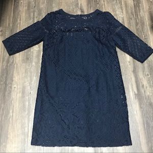 Beautiful Loft Lace Overlay Dress NWT 8 Petite